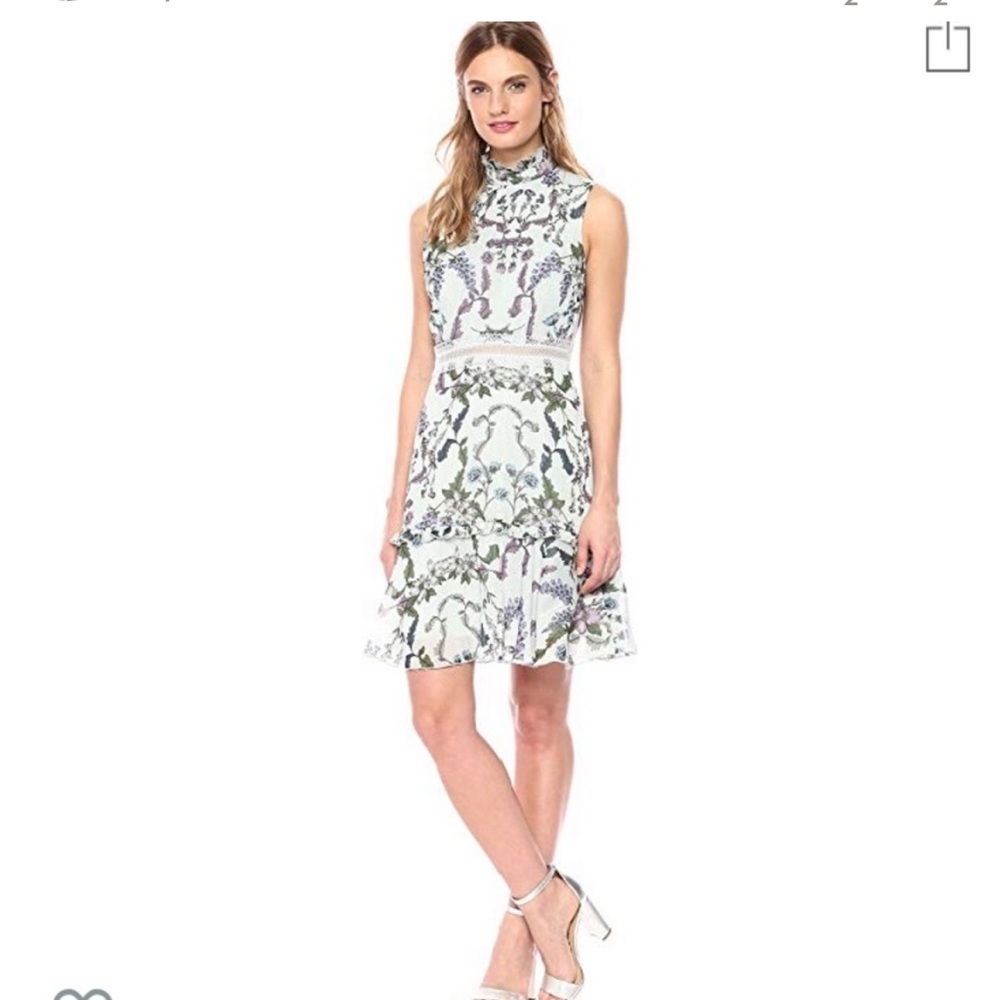 Anthropologie Donna Morgan Sleeveless Chiffon Fit & Flare Dress